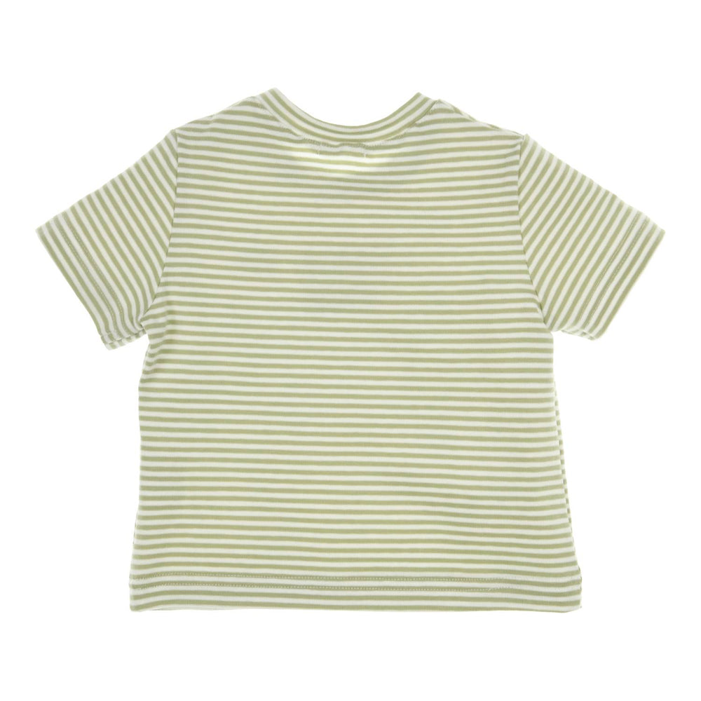 T-Shirt Devon Grün/Weiß