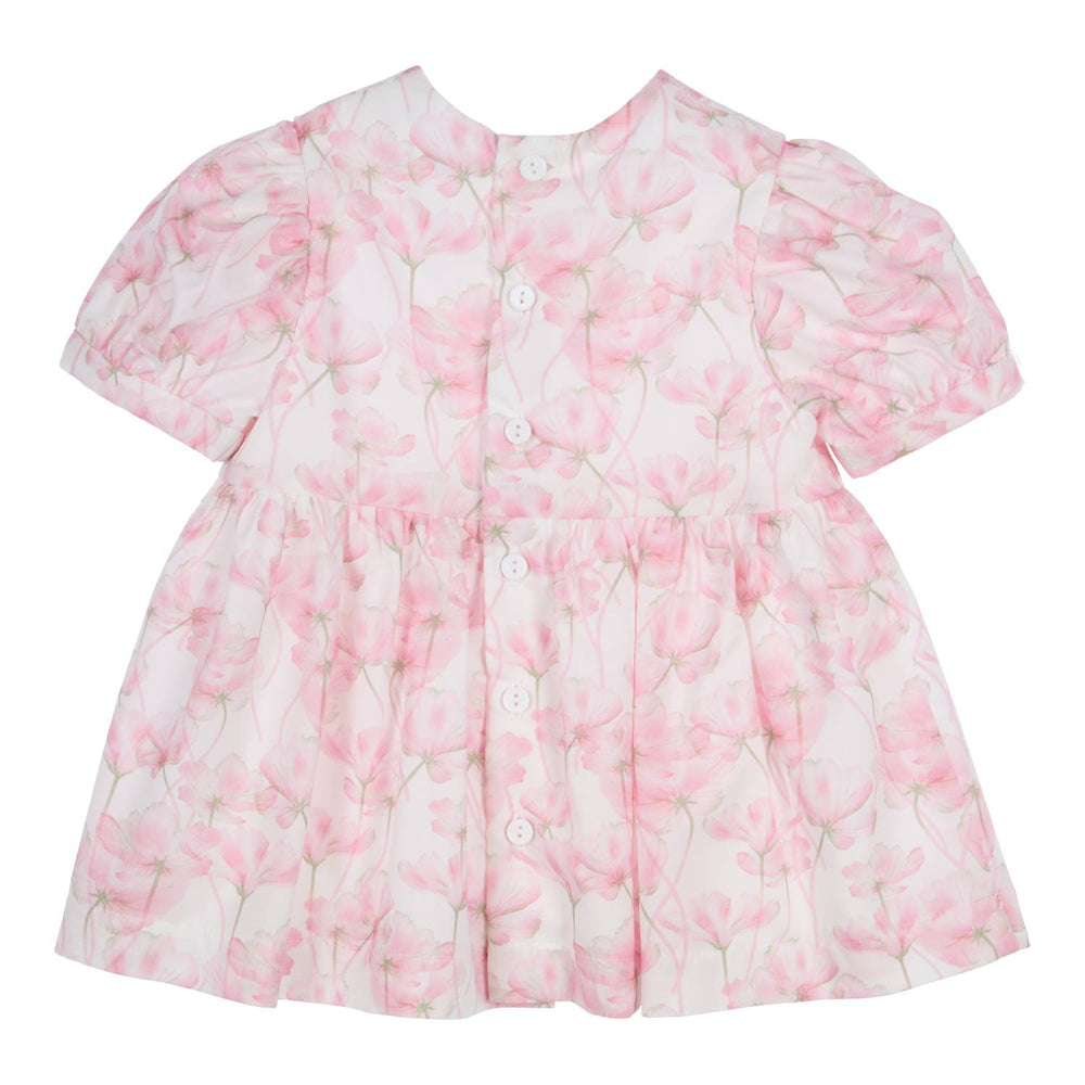 Kleid Rodina